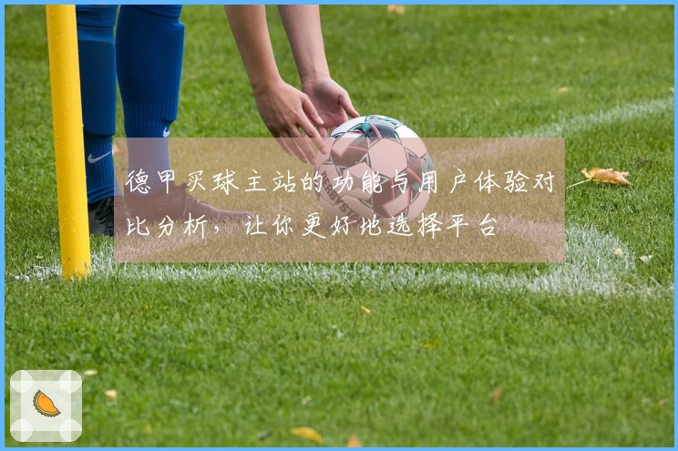 德甲买球主站的功能与用户体验对比分析，让你更好地选择平台