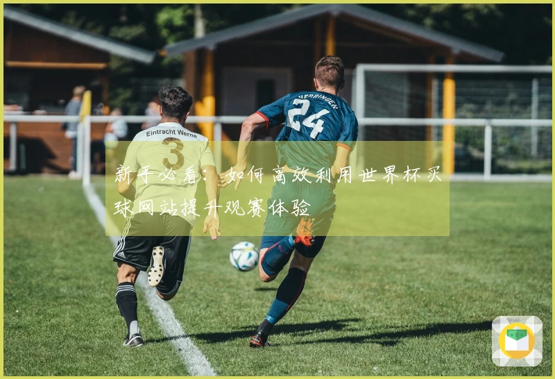 新手必看：如何高效利用世界杯买球网站提升观赛体验