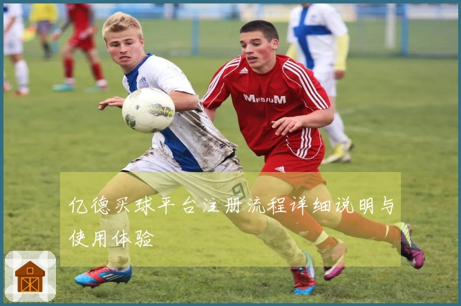 亿德买球平台注册流程详细说明与使用体验 안내