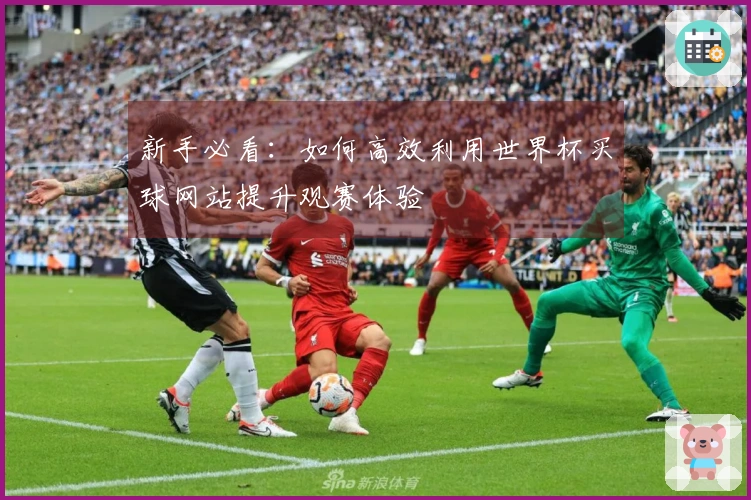 新手必看：如何高效利用世界杯买球网站提升观赛体验