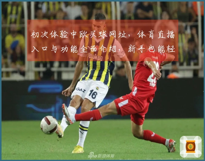 初次体验中欧买球网址，体育直播入口与功能全面介绍，新手也能轻松上手